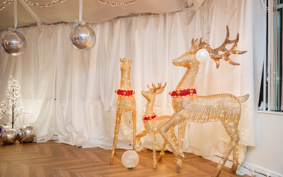 Christmas Party Success! 🎄